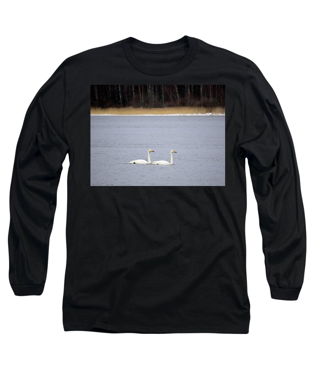  Long Sleeve T-Shirt featuring the photograph And I will follow. Whooper swan by Jouko Lehto