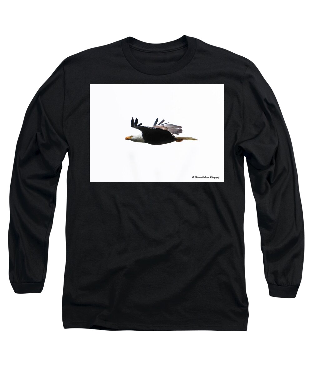 Bald Eagle Long Sleeve T-Shirt featuring the photograph Bald Eagle in Flight by Tahmina Watson
