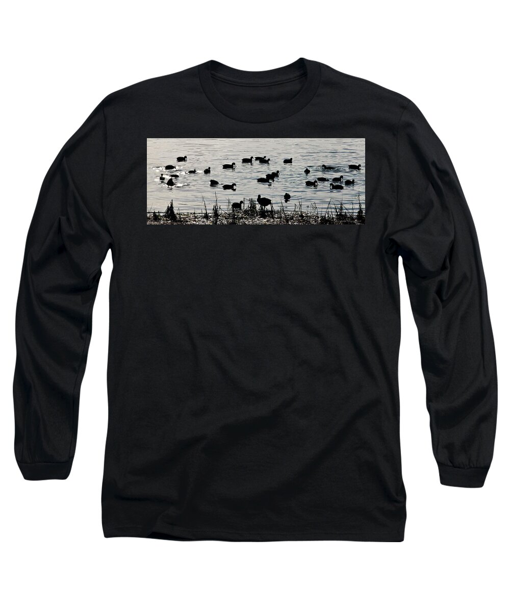 Black And White Long Sleeve T-Shirt featuring the photograph Birds of a Feather by Ryan Huebel