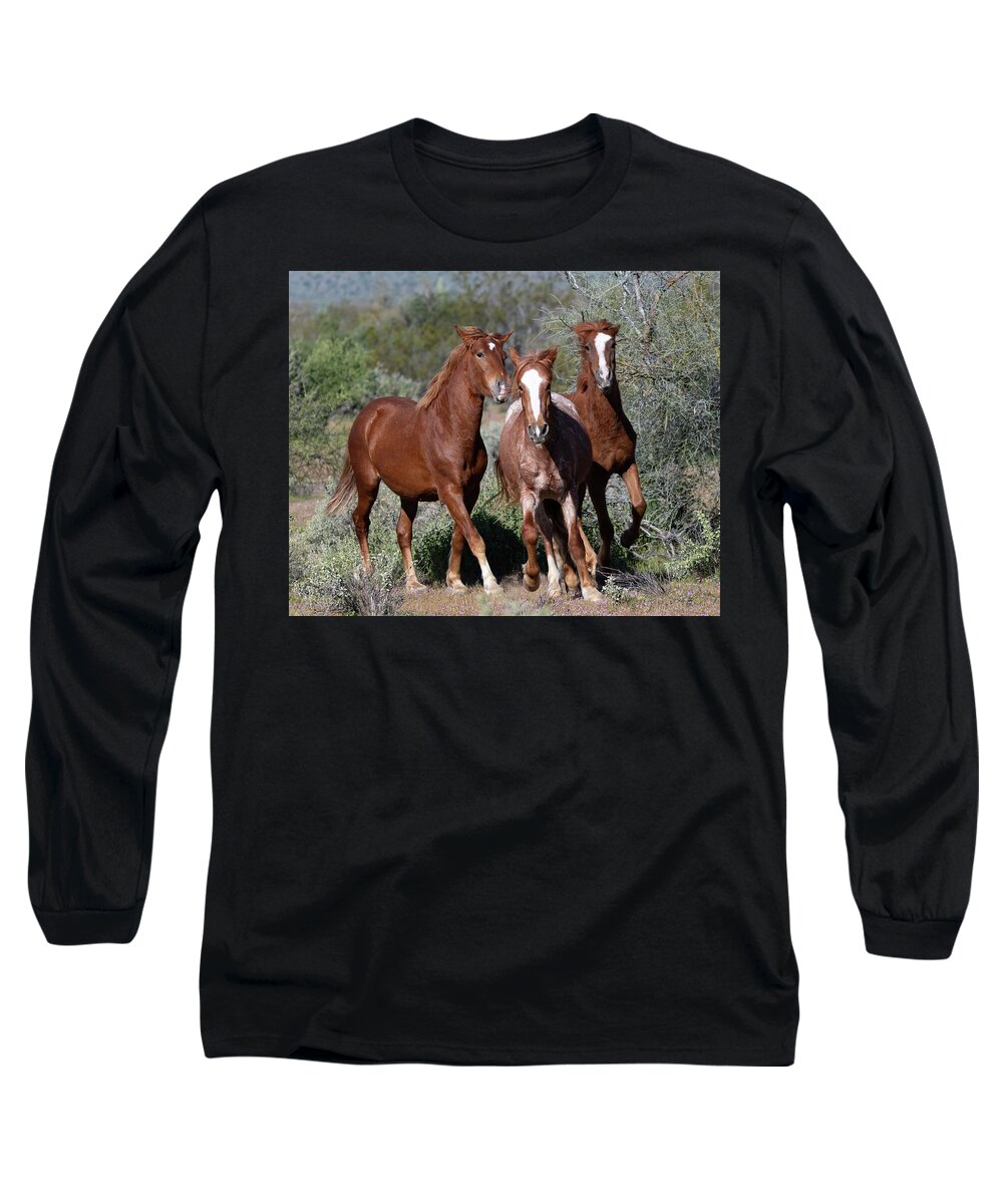 Wild Horses Long Sleeve T-Shirt featuring the photograph Boy band by Mary Hone