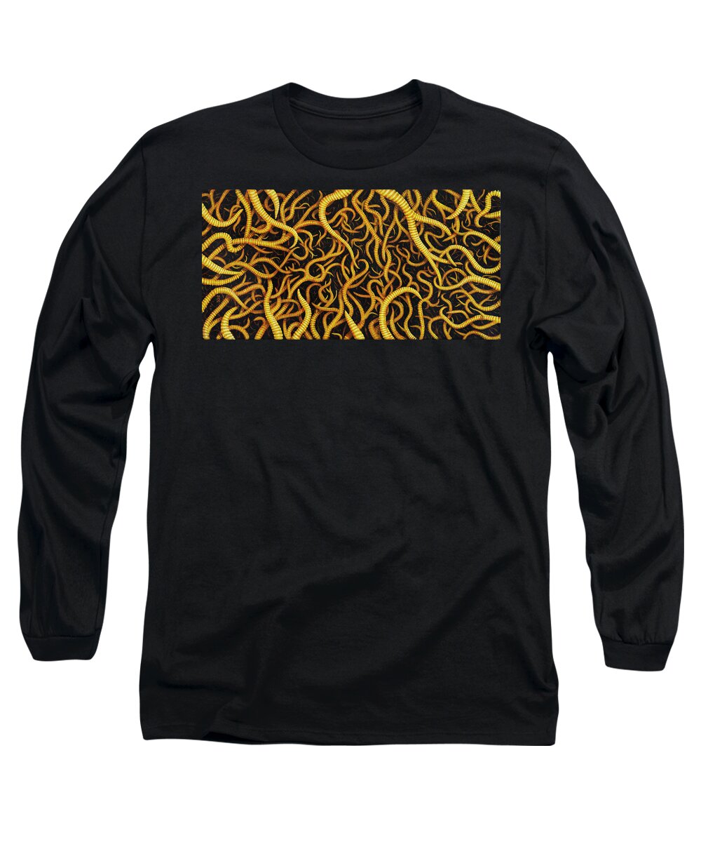 Surreal Long Sleeve T-Shirt featuring the painting Briar by Jon Carroll Otterson