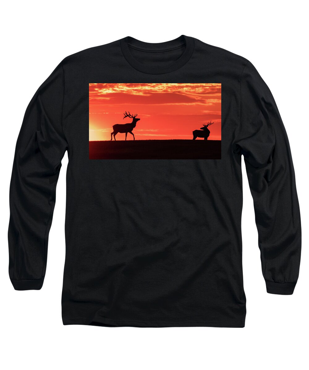 Bull Elk Long Sleeve T-Shirt featuring the photograph Bull Elk At Sunrise by Gary Beeler