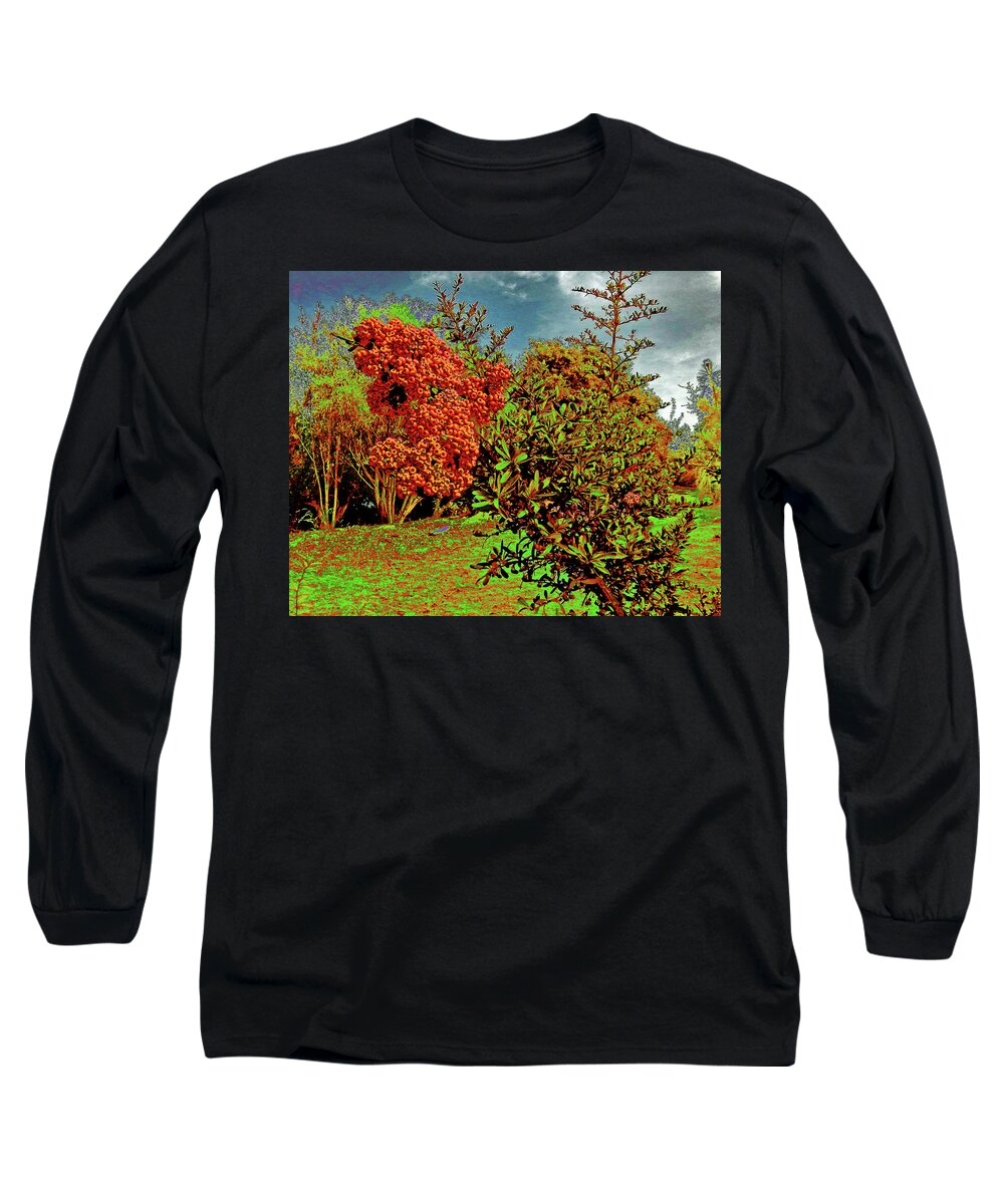 Landscape. Nature Long Sleeve T-Shirt featuring the photograph Bushes And Berries by Andrew Lawrence