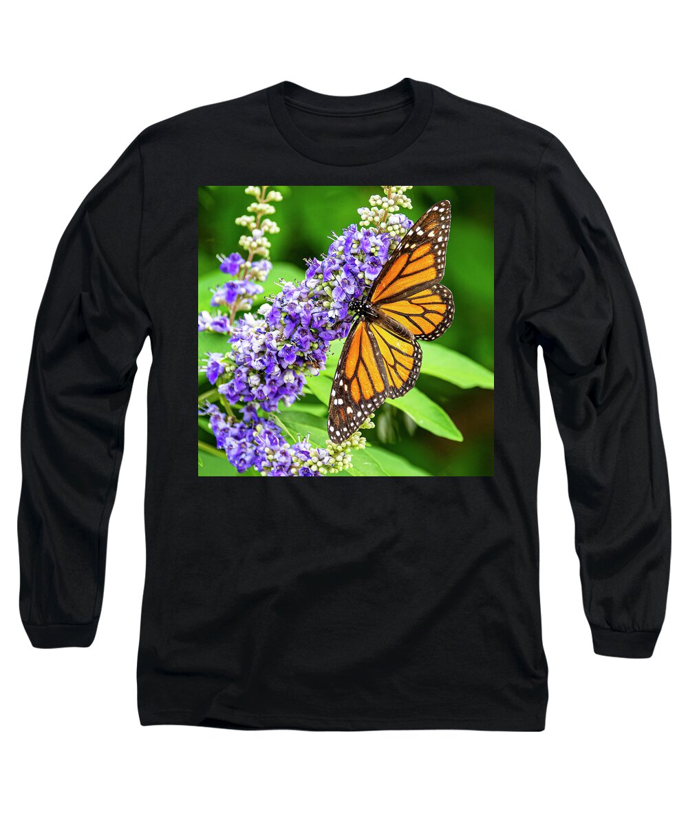 Butterfly Long Sleeve T-Shirt featuring the photograph Butterfly Snack Time by Jerry Connally