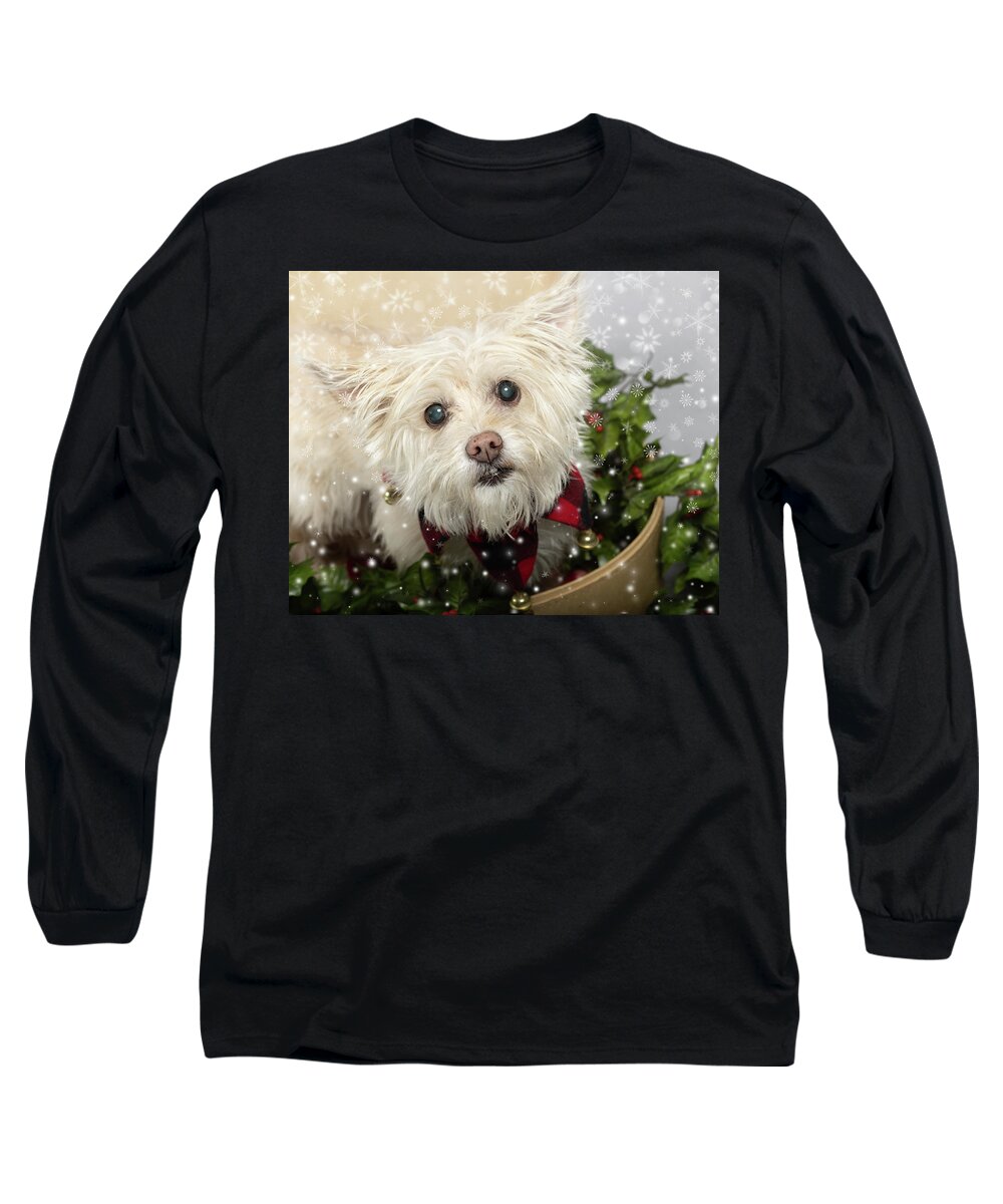 Cassie Long Sleeve T-Shirt featuring the photograph Cassie 10 with snow by Rebecca Cozart