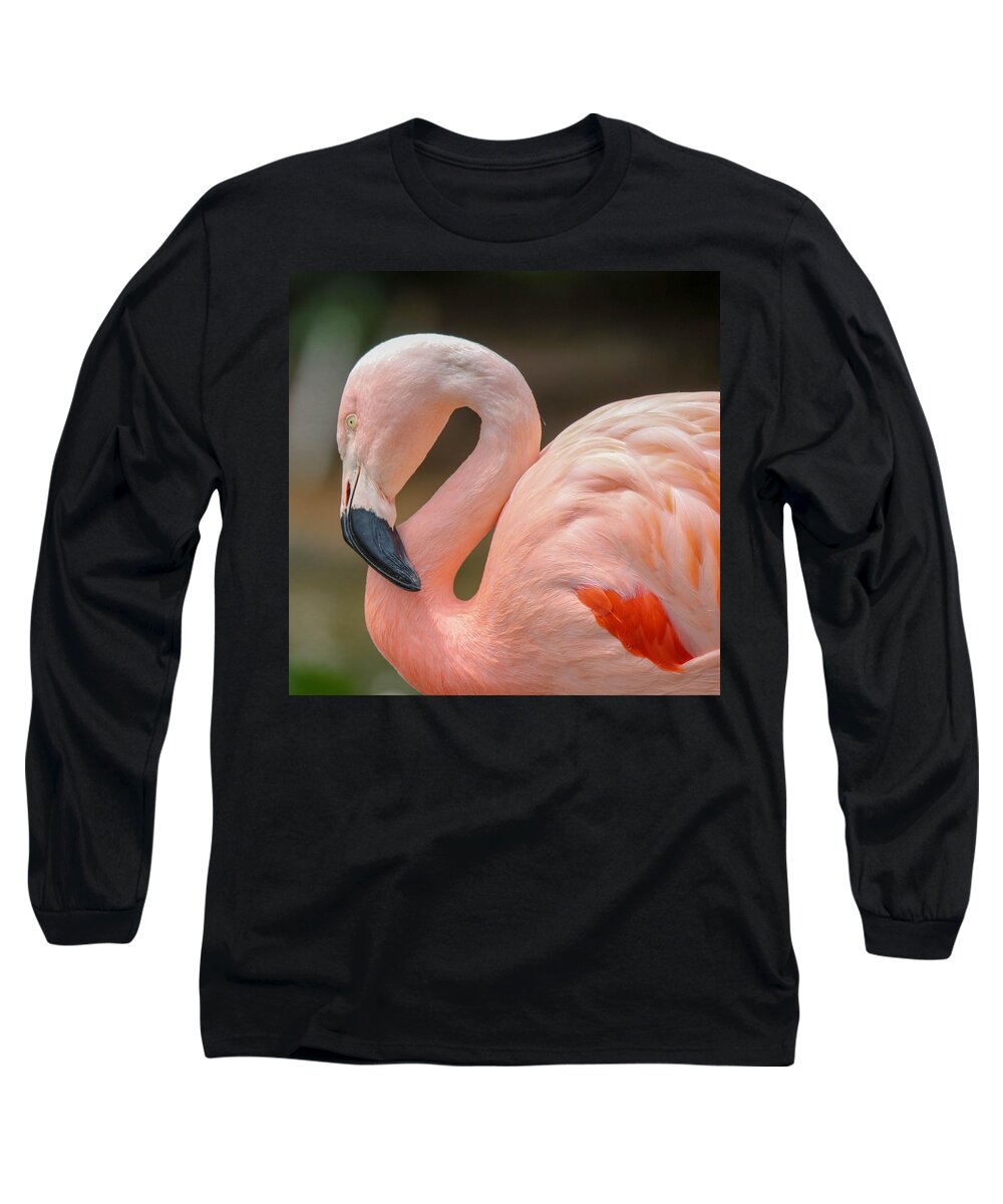 Flamingo Long Sleeve T-Shirt featuring the photograph Chilean Flamingo Portrait by Susan Rydberg