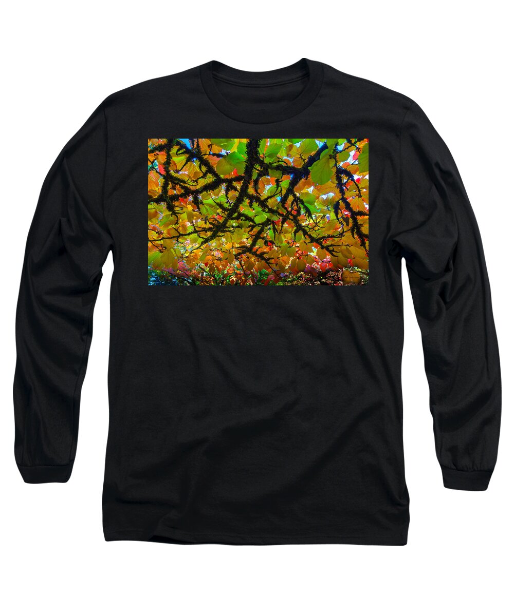 Fall Long Sleeve T-Shirt featuring the photograph Cover of Fall by Ryan Workman Photography