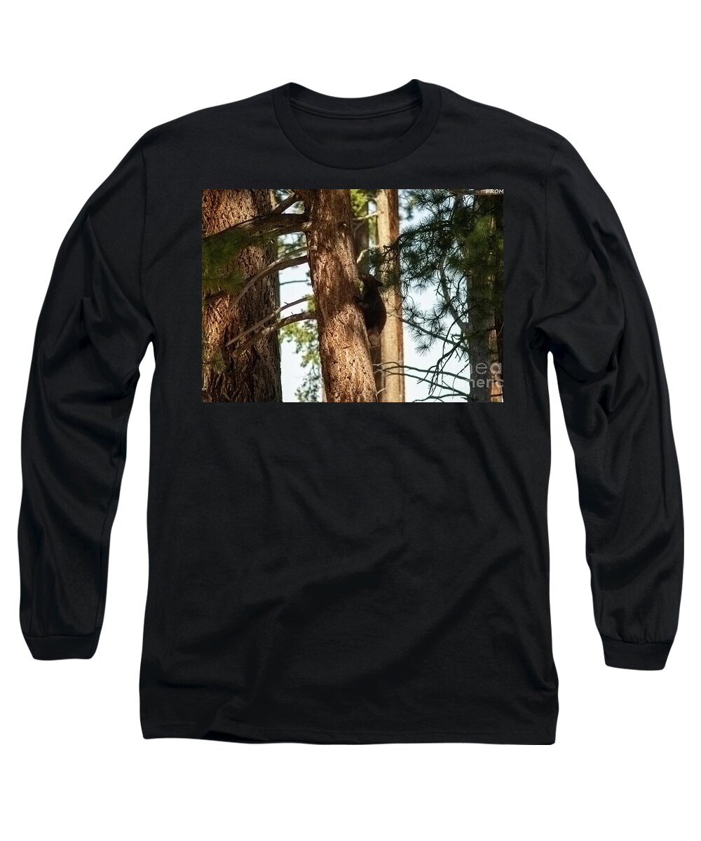 Wildlife Long Sleeve T-Shirt featuring the photograph cub in El Dorado National Forest, California, U.S.A.-2 by PROMedias US