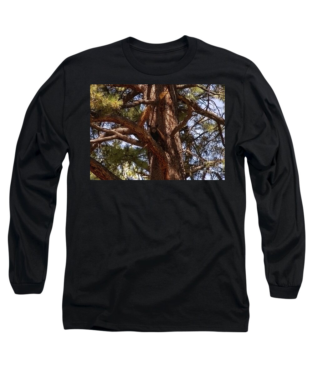 Wildlife Long Sleeve T-Shirt featuring the photograph cub in El Dorado National Forest, California, U.S.A. by PROMedias US