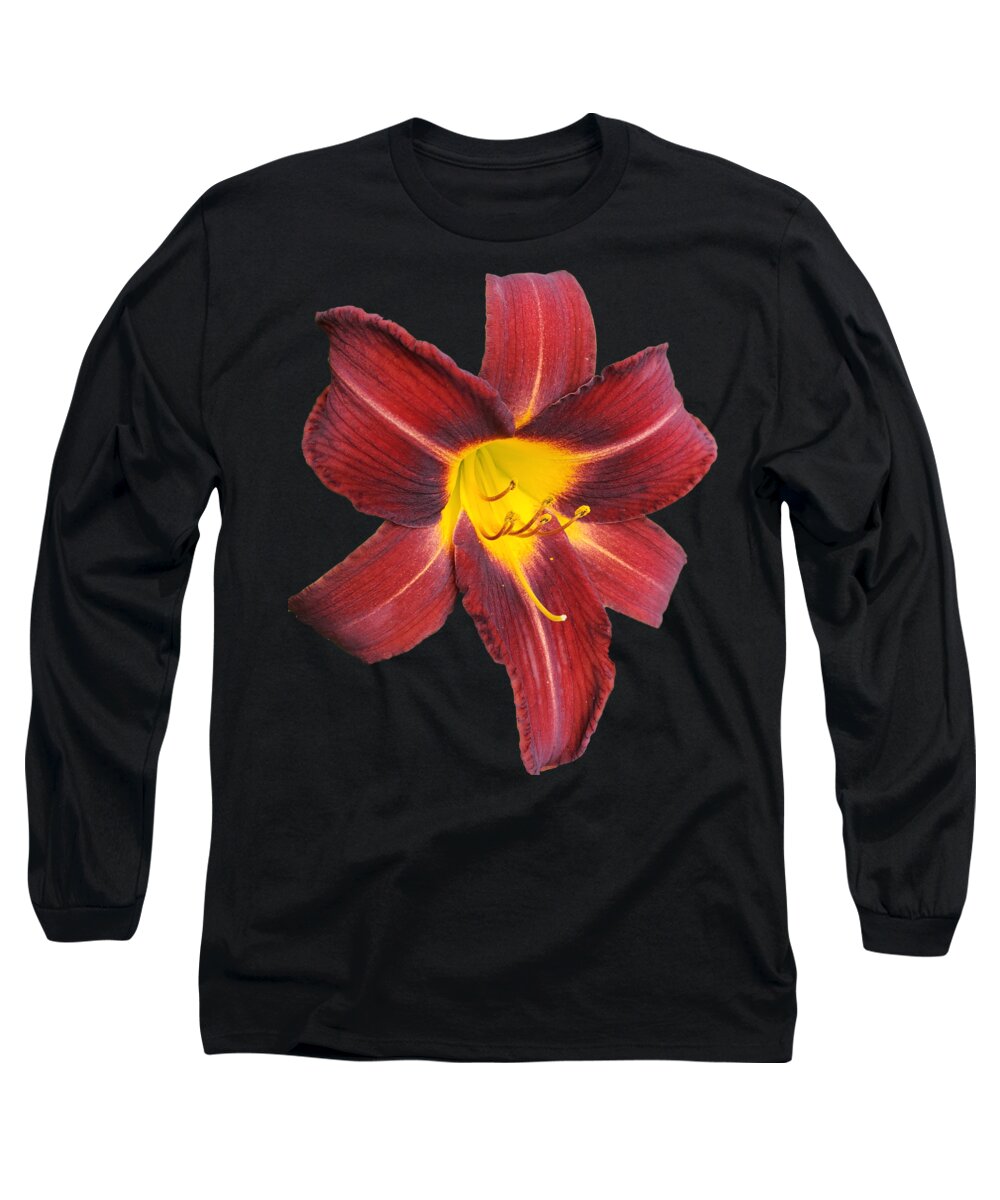 Flower Long Sleeve T-Shirt featuring the photograph Dark Red Day Lily by Donna Brown