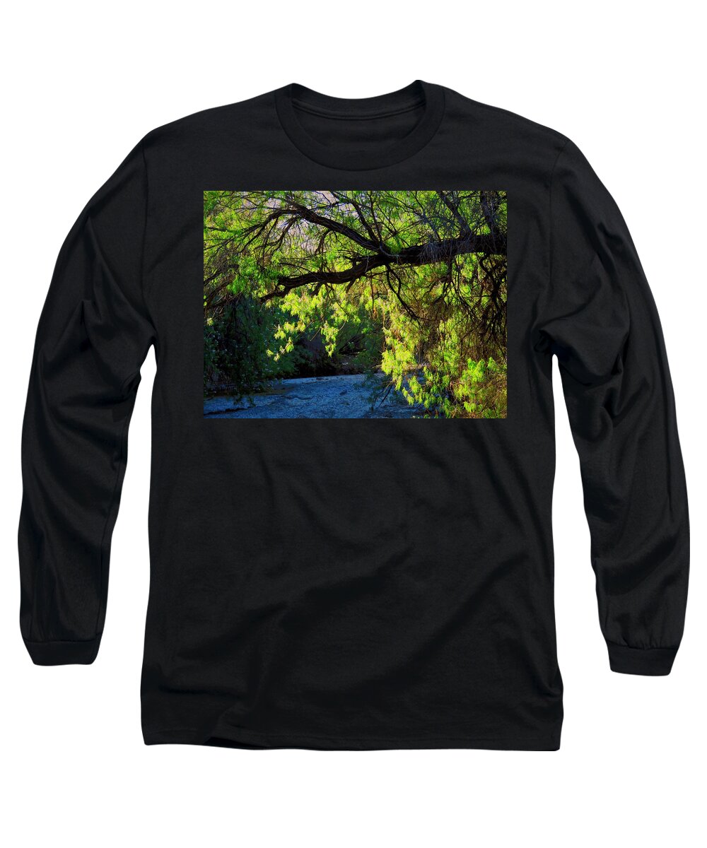 Desert Plants Long Sleeve T-Shirt featuring the photograph Deep in the Vekol by Judy Kennedy