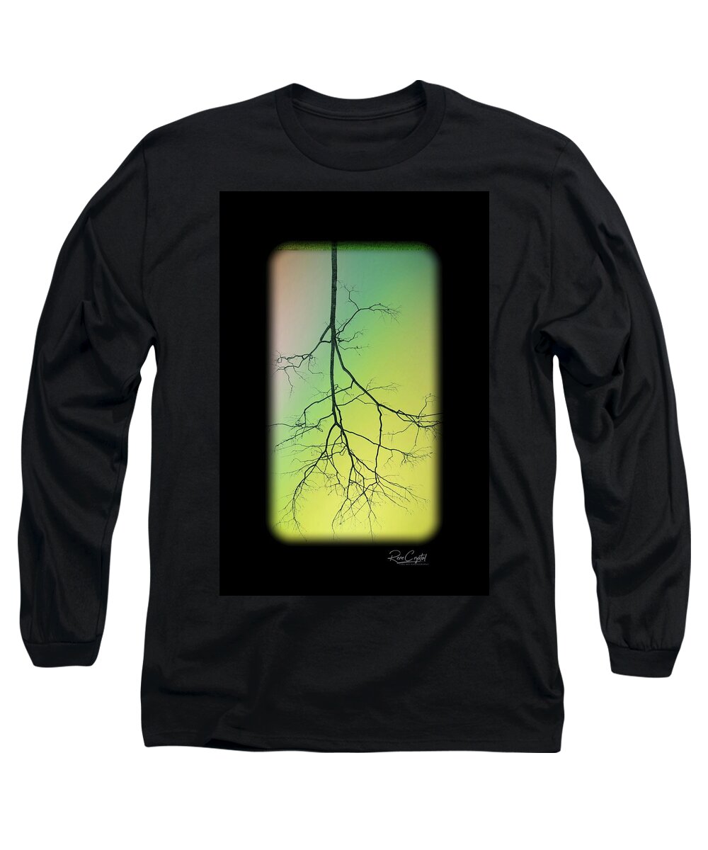 Tree Roots Long Sleeve T-Shirt featuring the photograph Down To The Root Of The Matter by Rene Crystal