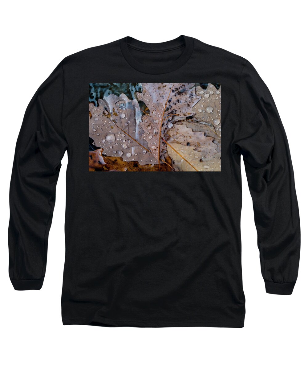 Forest Long Sleeve T-Shirt featuring the photograph Falling Leaves in Autumn by Iris Greenwell
