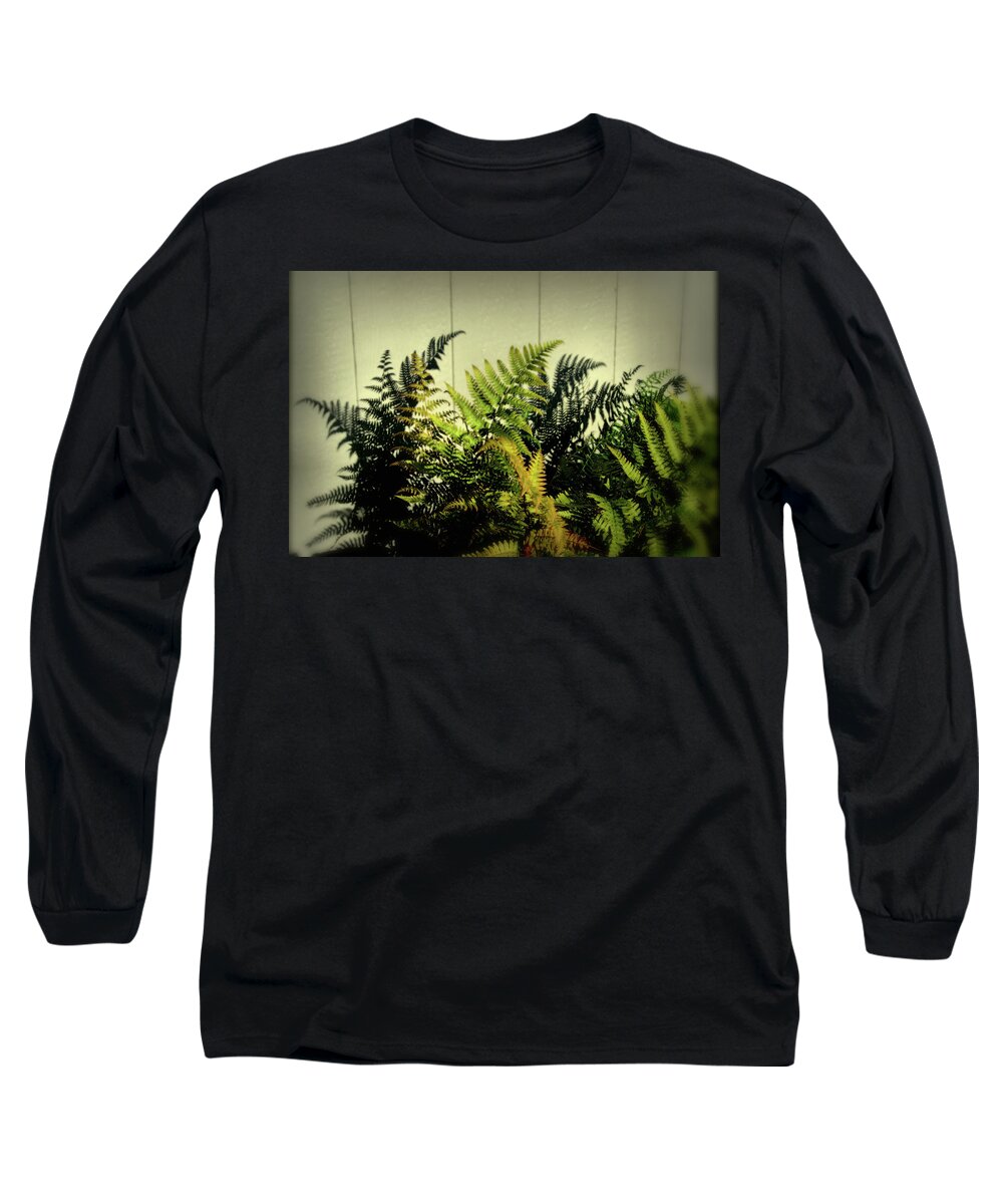 Ferns Long Sleeve T-Shirt featuring the photograph Fern Reflections by Buddy Scott