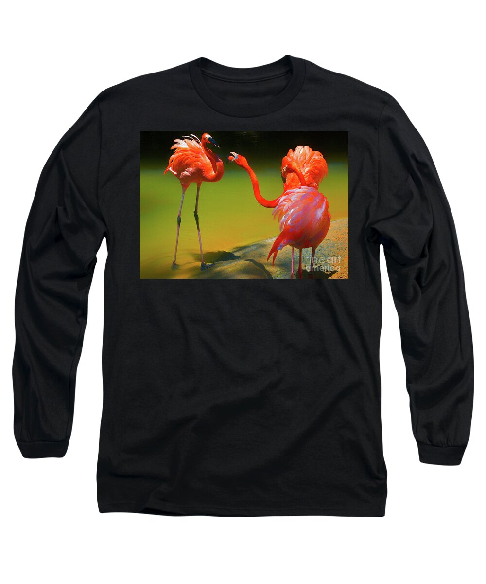 Flamingos Long Sleeve T-Shirt featuring the photograph Flamingo Argument by Diana Mary Sharpton