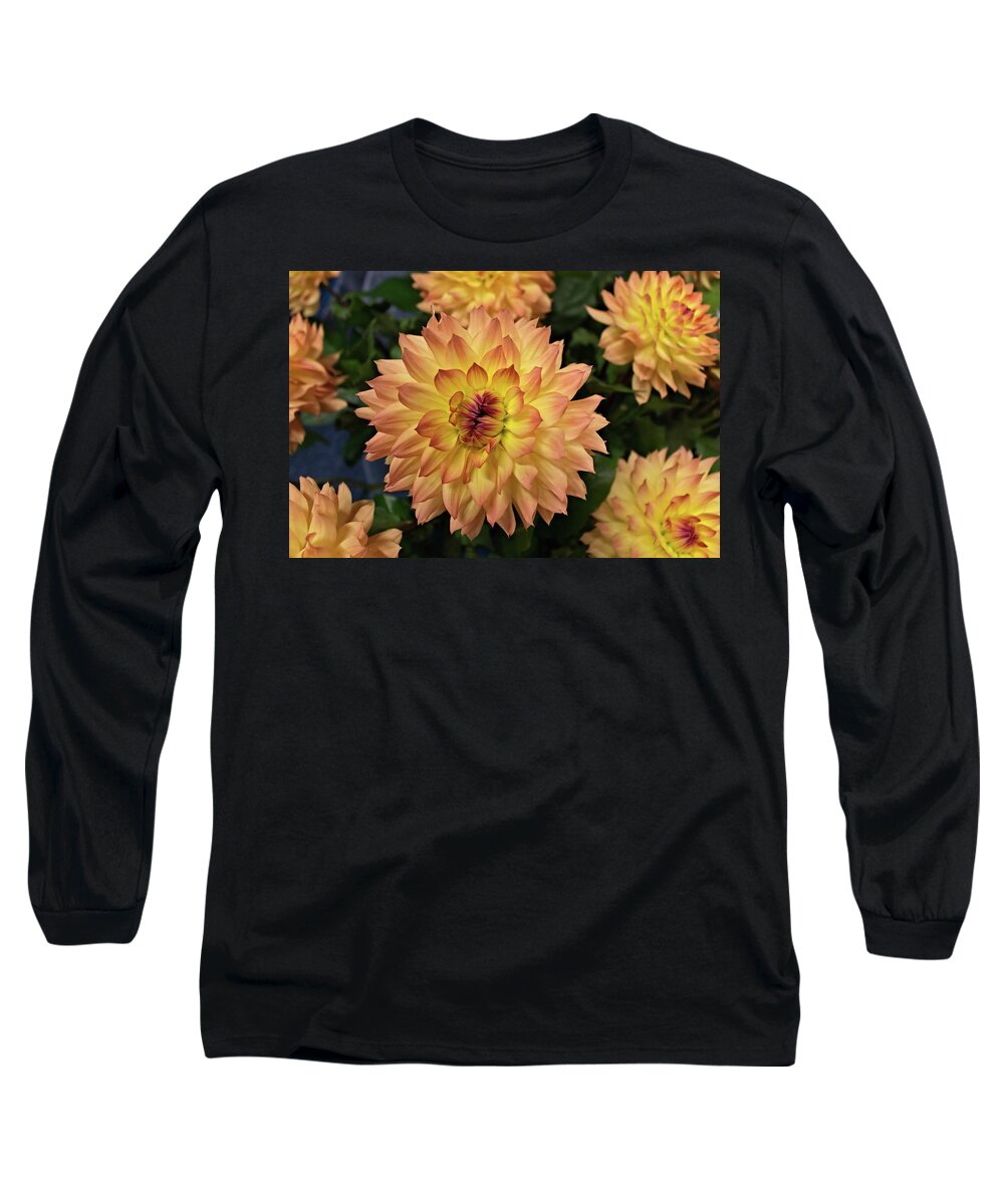 Flower Long Sleeve T-Shirt featuring the photograph Giant Dahlia by Loyd Towe Photography