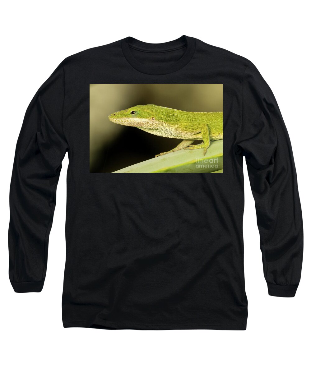 Animal Long Sleeve T-Shirt featuring the photograph Green Anole Portrait by Nancy Gleason
