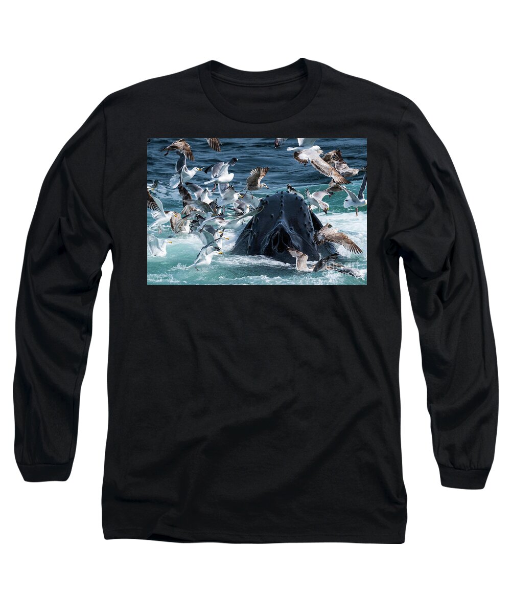 Whale Long Sleeve T-Shirt featuring the photograph Gulls After Sandlance by Lorraine Cosgrove