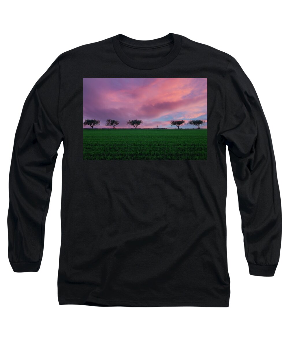 Trees Long Sleeve T-Shirt featuring the photograph Hey little tree by Alexios Ntounas