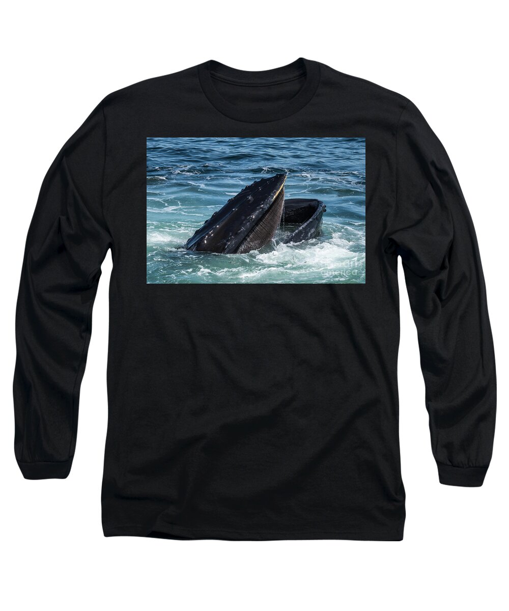 Ocean Long Sleeve T-Shirt featuring the photograph Humpback Feeding on Sand Lance by Lorraine Cosgrove