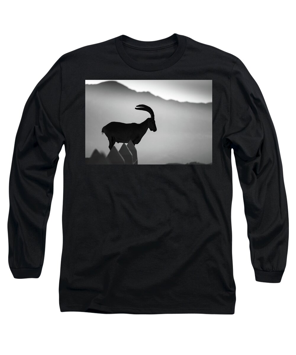 Ibex Long Sleeve T-Shirt featuring the photograph Ibex by Gary Browne