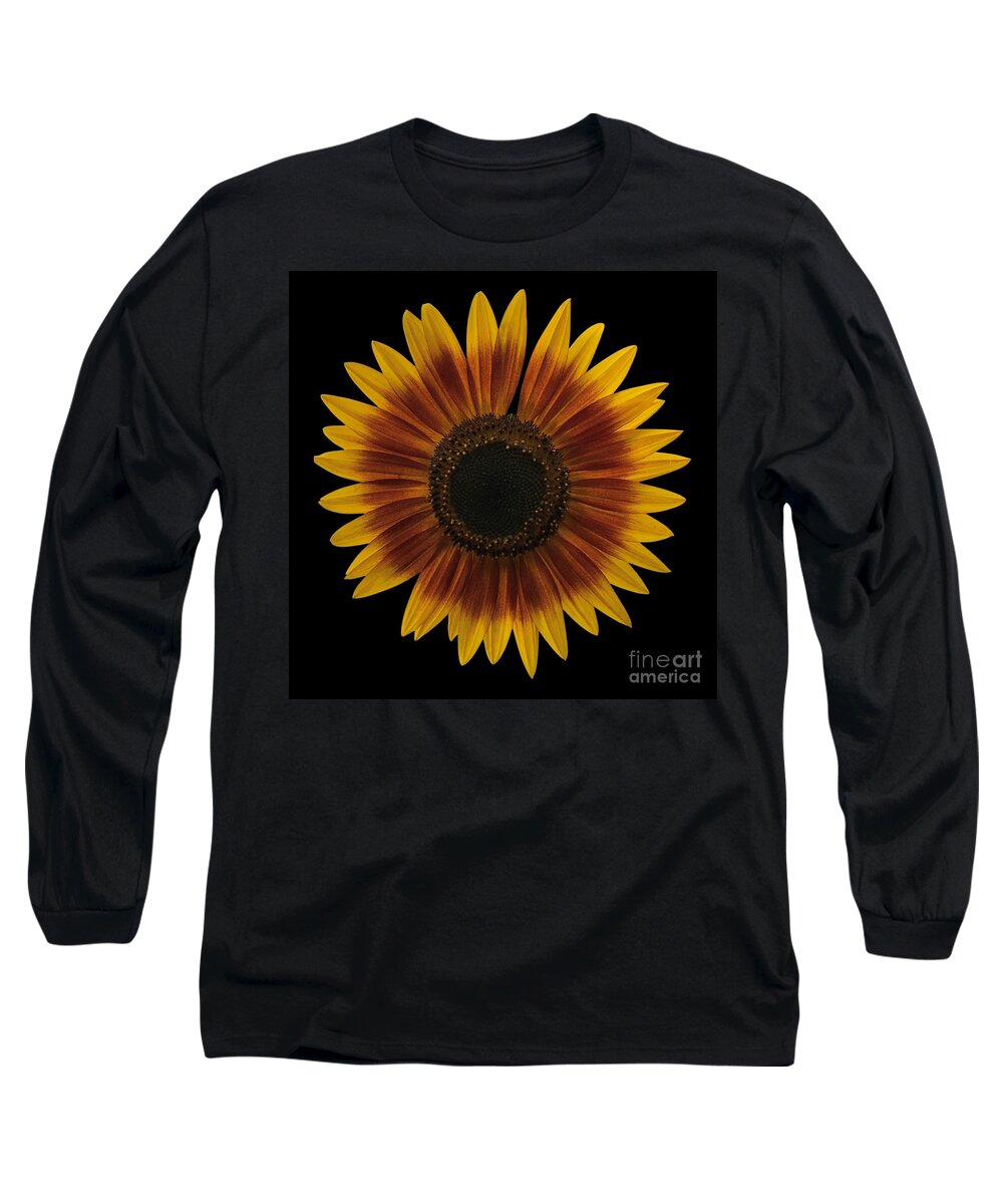 Flower Long Sleeve T-Shirt featuring the photograph Just a Sunflower with a black background by Mona Remedios Stickley