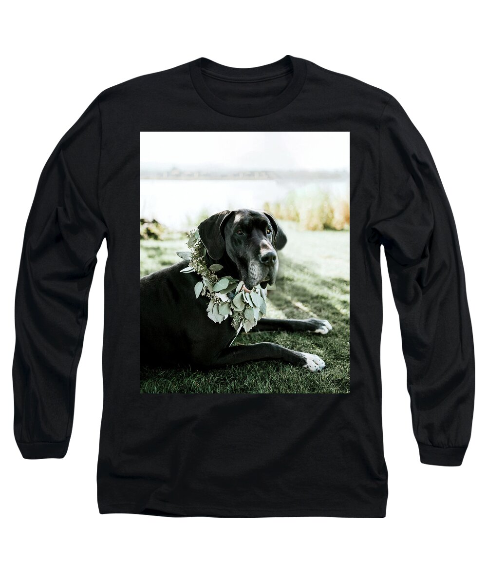 Great Dane Long Sleeve T-Shirt featuring the photograph Lincoln at the Wedding by Rebecca Cozart