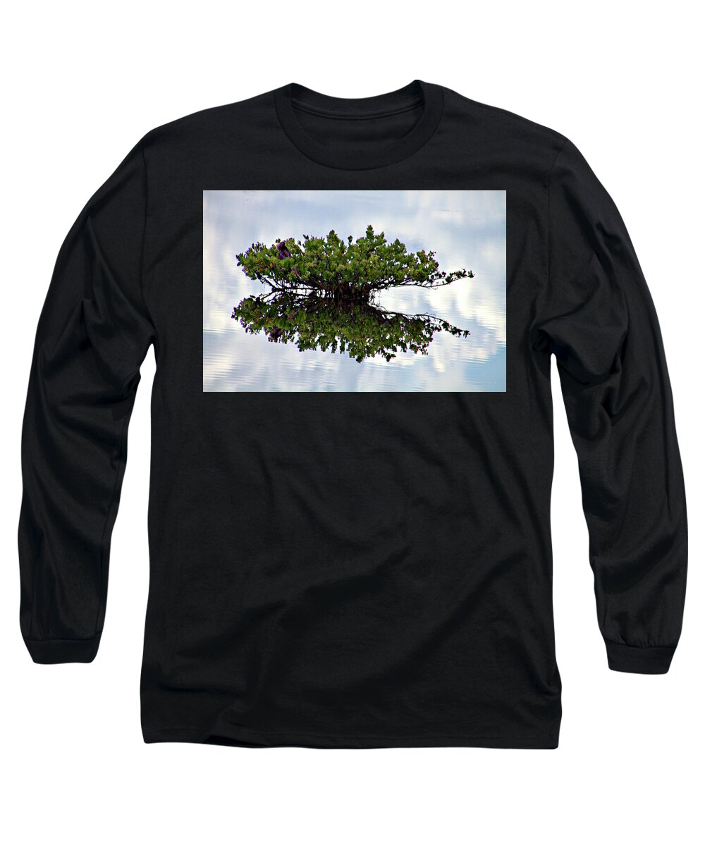 Merritt Island Long Sleeve T-Shirt featuring the photograph Lonely Tree by Bill Barber