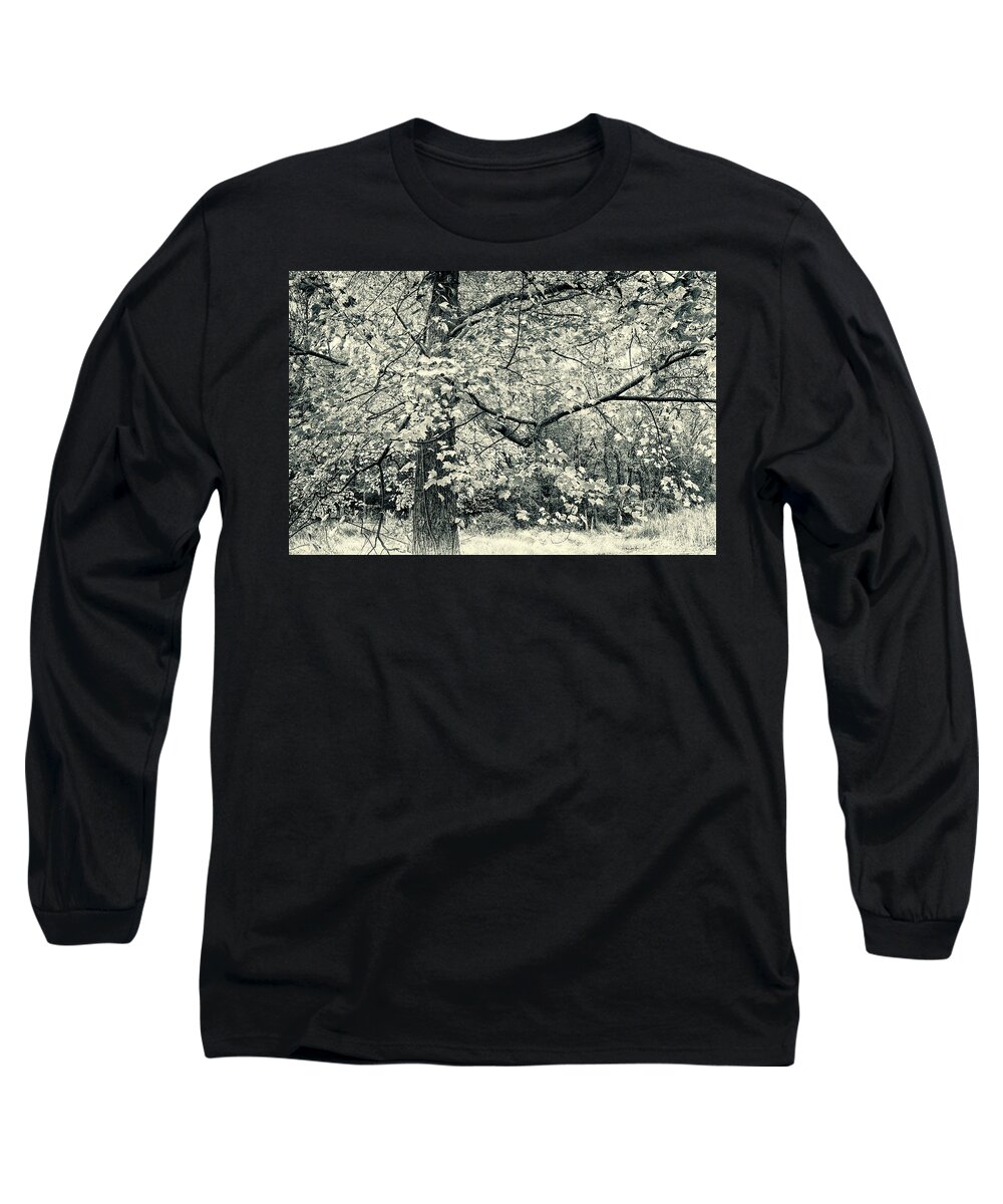 Black And White Long Sleeve T-Shirt featuring the photograph Maple Monarch by Carol Senske