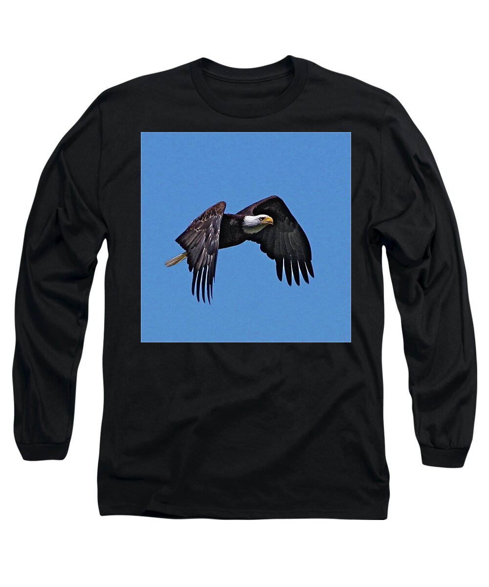 Eagle Long Sleeve T-Shirt featuring the photograph Montana Eagle by Dorsey Northrup