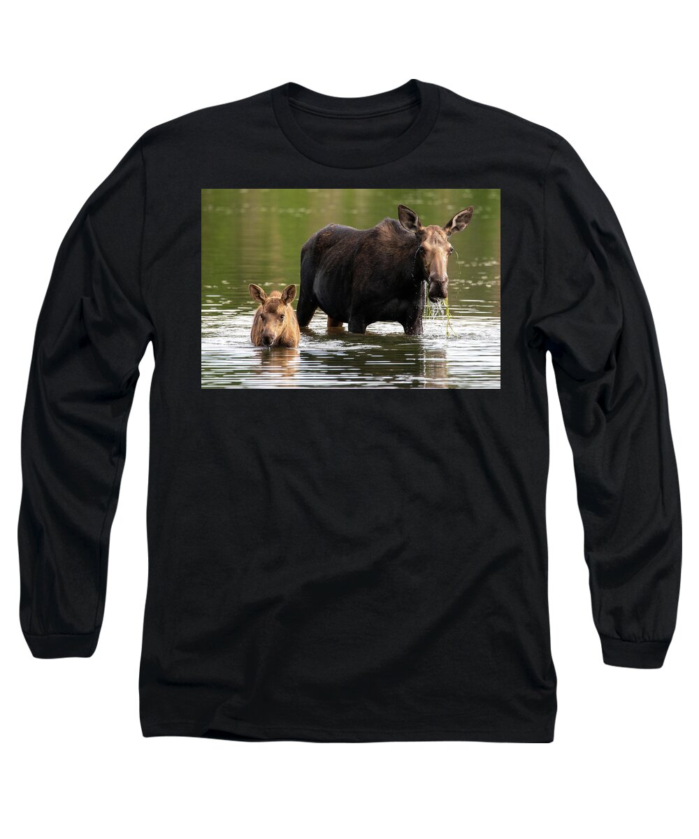 Moose Long Sleeve T-Shirt featuring the photograph Morning Dip by Darlene Bushue