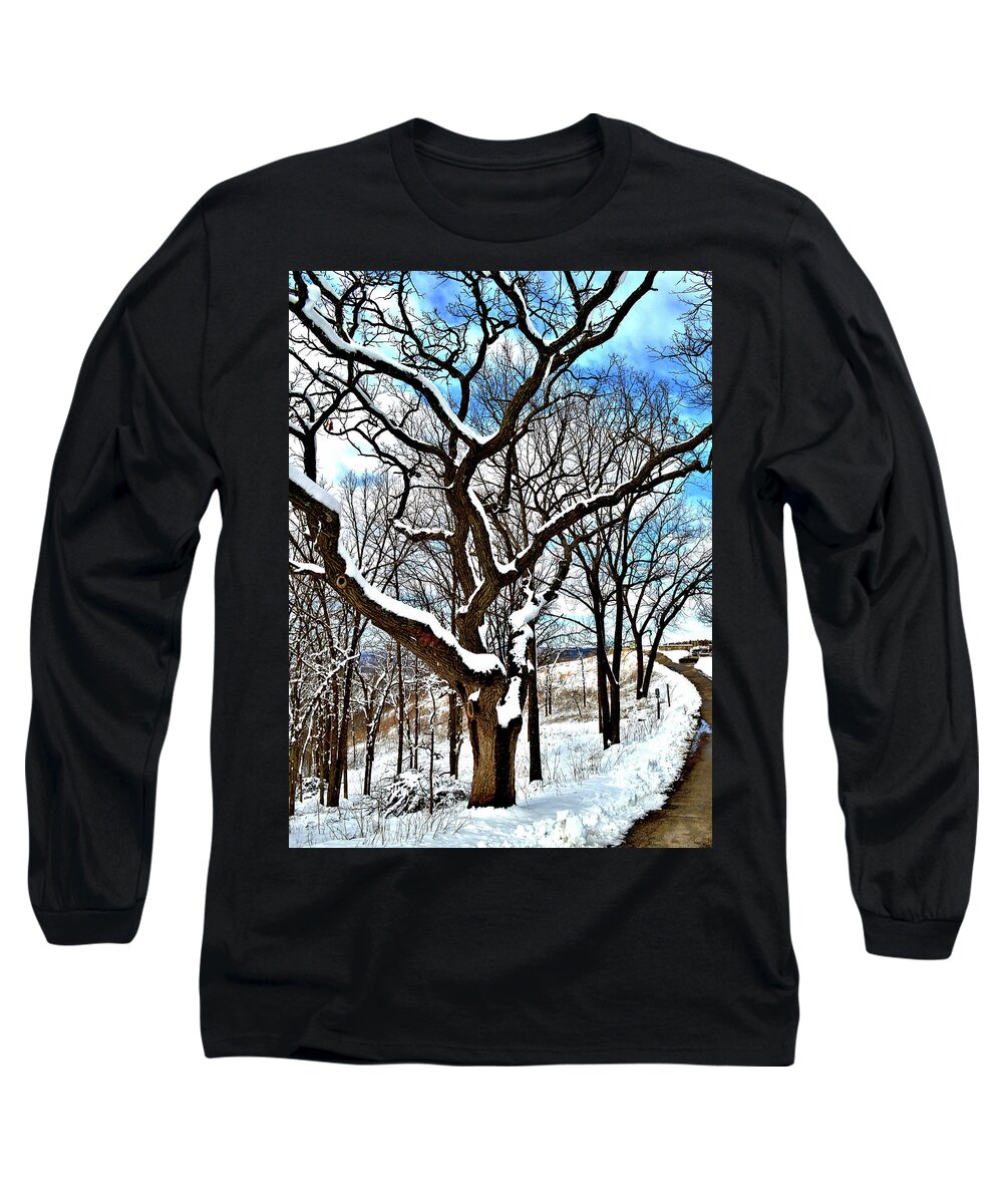 Paths Long Sleeve T-Shirt featuring the photograph Path To The Lookout by Susie Loechler