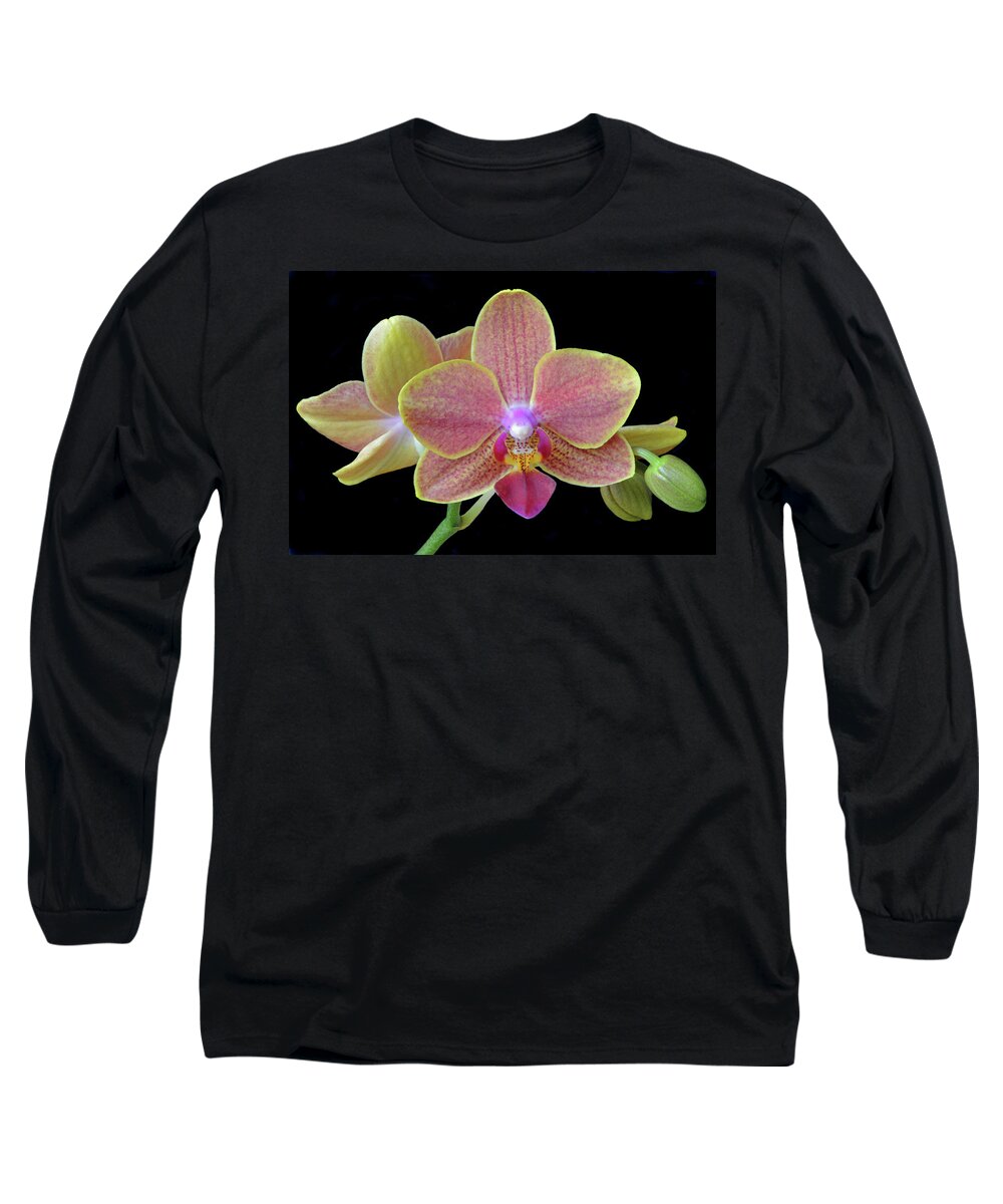 Orchids Long Sleeve T-Shirt featuring the photograph Phalaenopsis Miniature Orchids by Terence Davis
