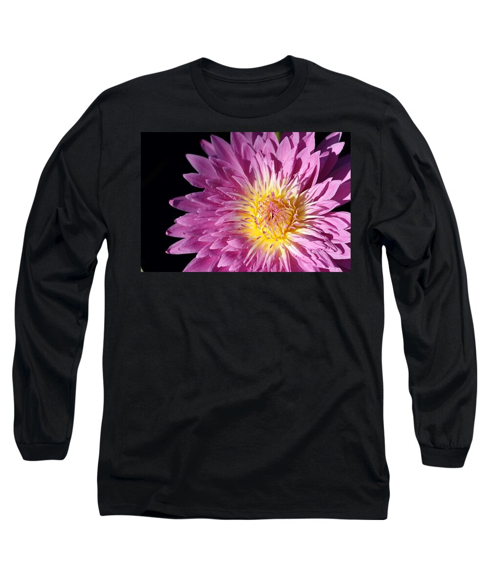 Water Lily Long Sleeve T-Shirt featuring the photograph Pink Splendor by Mingming Jiang