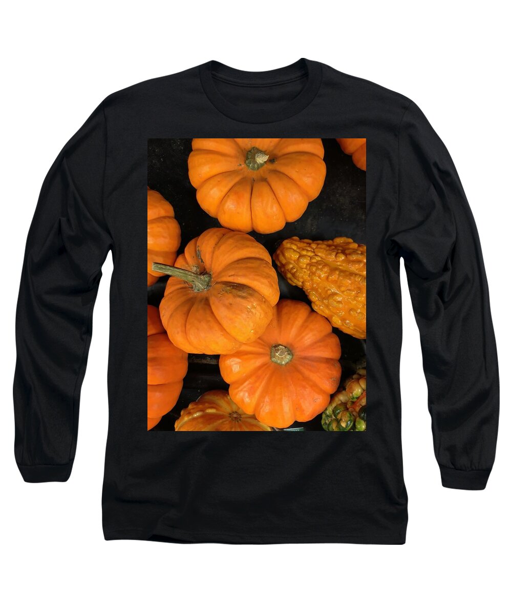 Pumpkin Long Sleeve T-Shirt featuring the photograph Pumpkin Flat Lay by Lisa Pearlman