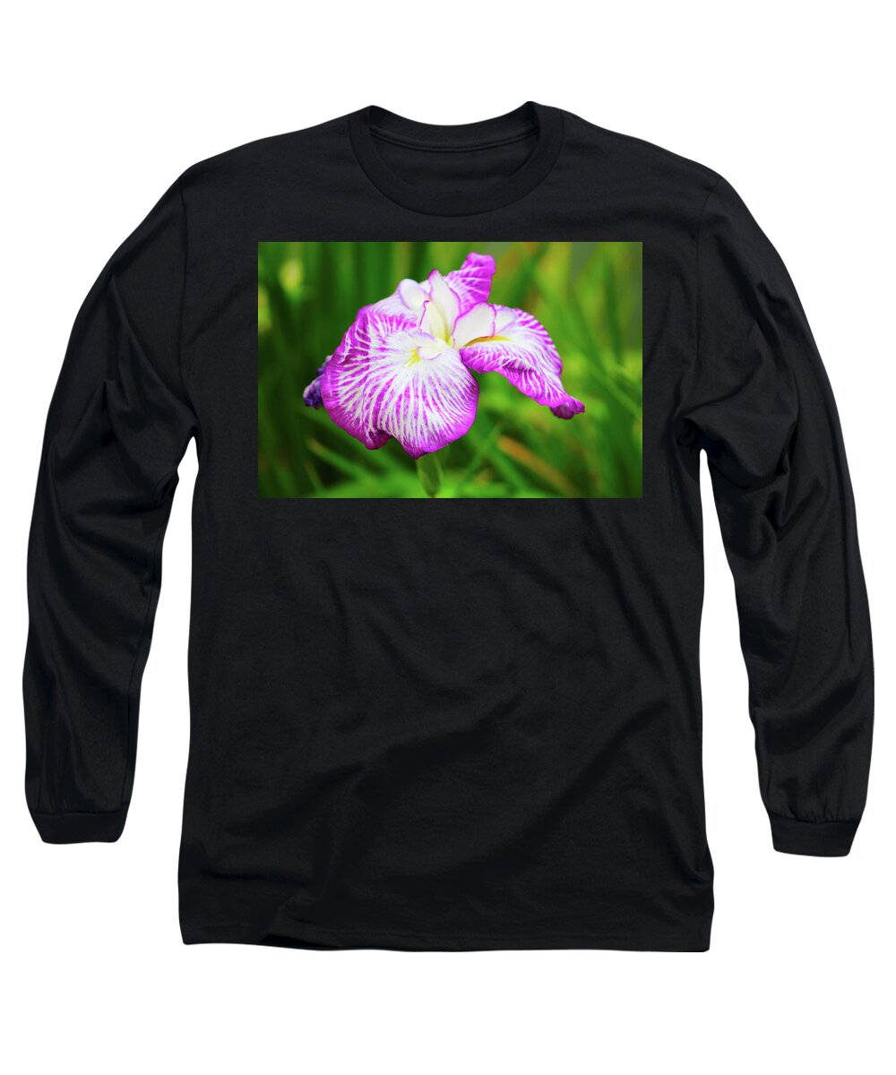 Flower Long Sleeve T-Shirt featuring the photograph Purple Iris Passion by Marcus Jones