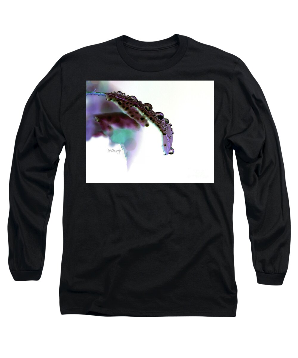 Rain On Rose Leaf Long Sleeve T-Shirt featuring the photograph Rain on Rose Leaf by Natalie Dowty