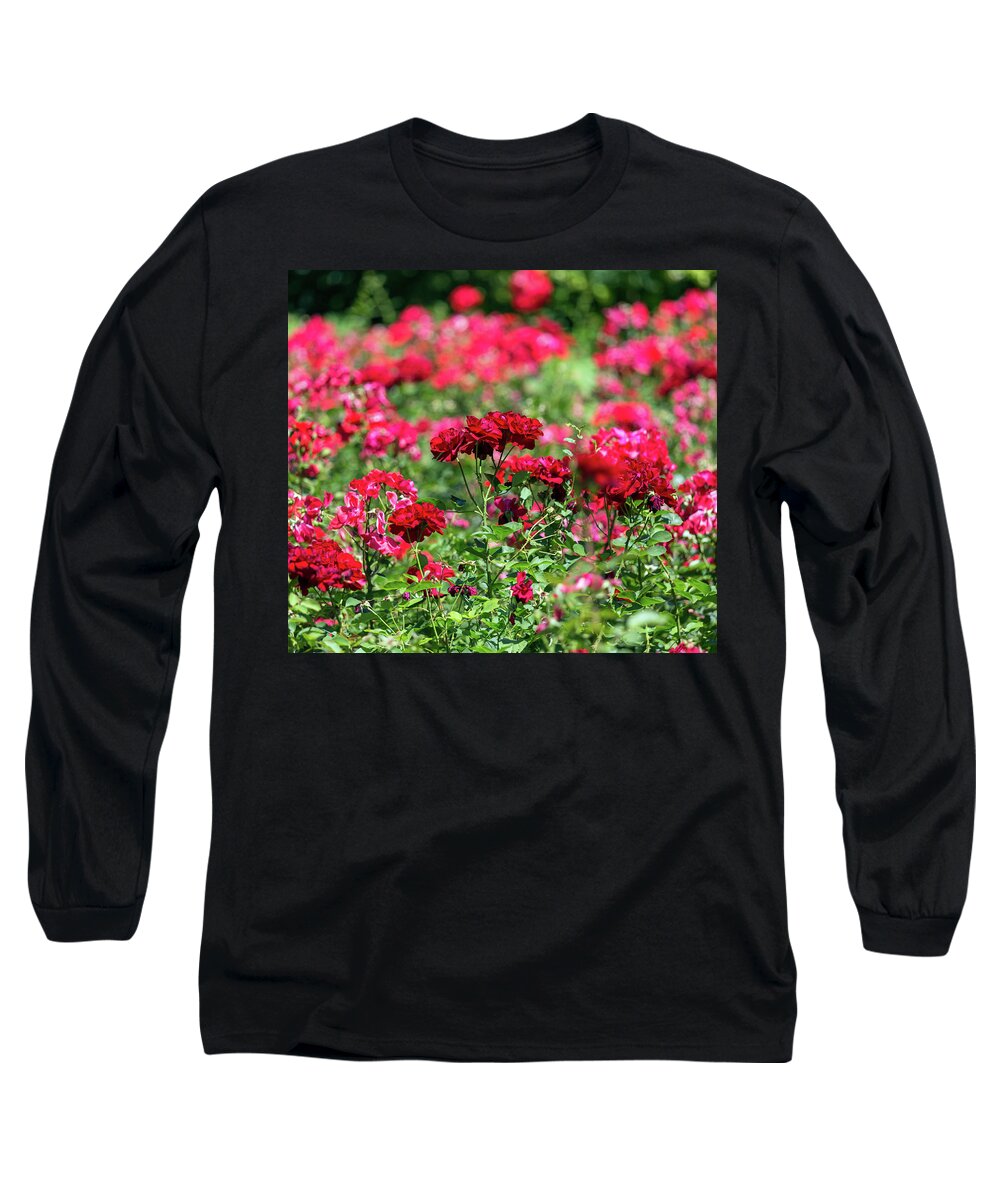Garden Long Sleeve T-Shirt featuring the photograph Red Roses Garden Background by Mikhail Kokhanchikov