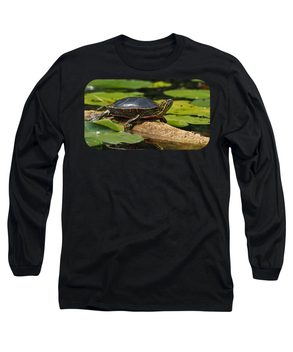 Rest And Relaxation Long Sleeve T-Shirt featuring the photograph Reptile Rest and Relaxation by James Peterson
