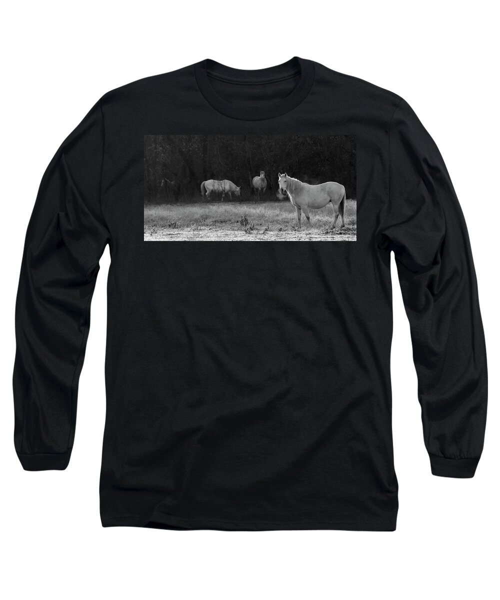 Shawnee Long Sleeve T-Shirt featuring the photograph Shawnee Herd by Holly Ross