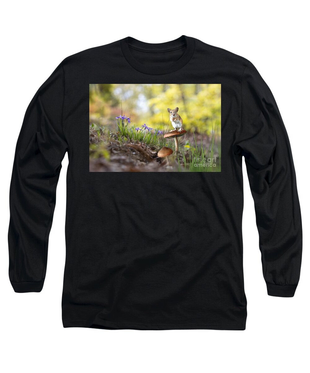Field Mouse Long Sleeve T-Shirt featuring the mixed media Sitting Pretty by Morag Bates