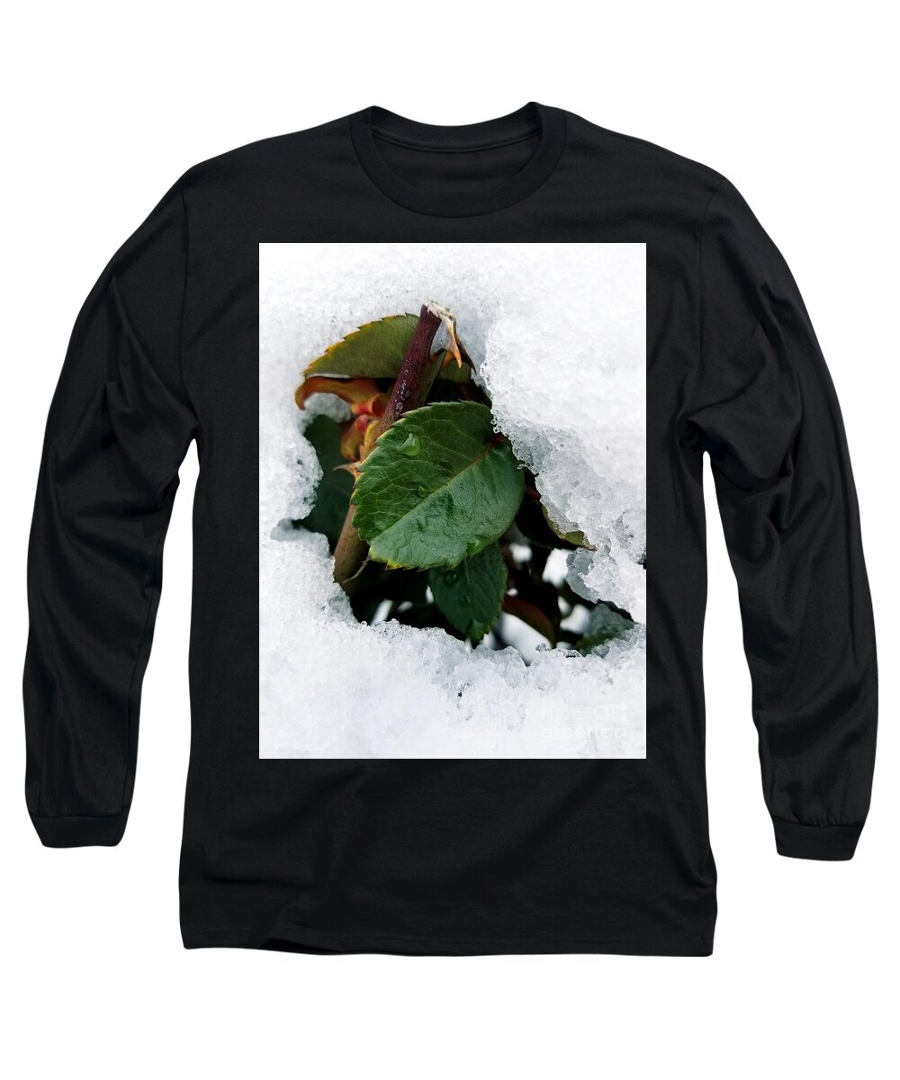 Snow Long Sleeve T-Shirt featuring the digital art Sneaking out by Yenni Harrison