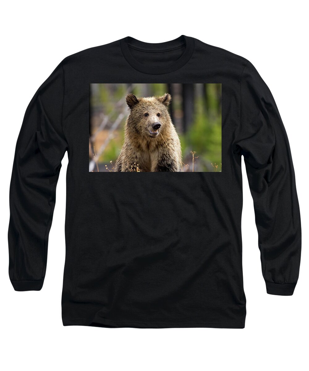 Grizzly Long Sleeve T-Shirt featuring the photograph Snow 1 by Shari Sommerfeld