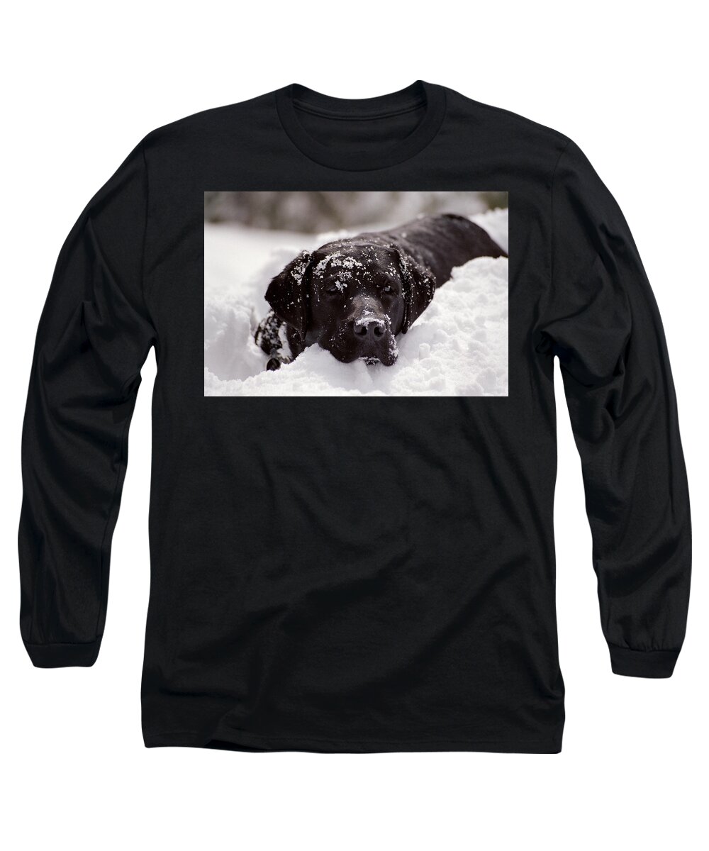 Labrador Long Sleeve T-Shirt featuring the photograph Snow Surfing by Bonnie Colgan