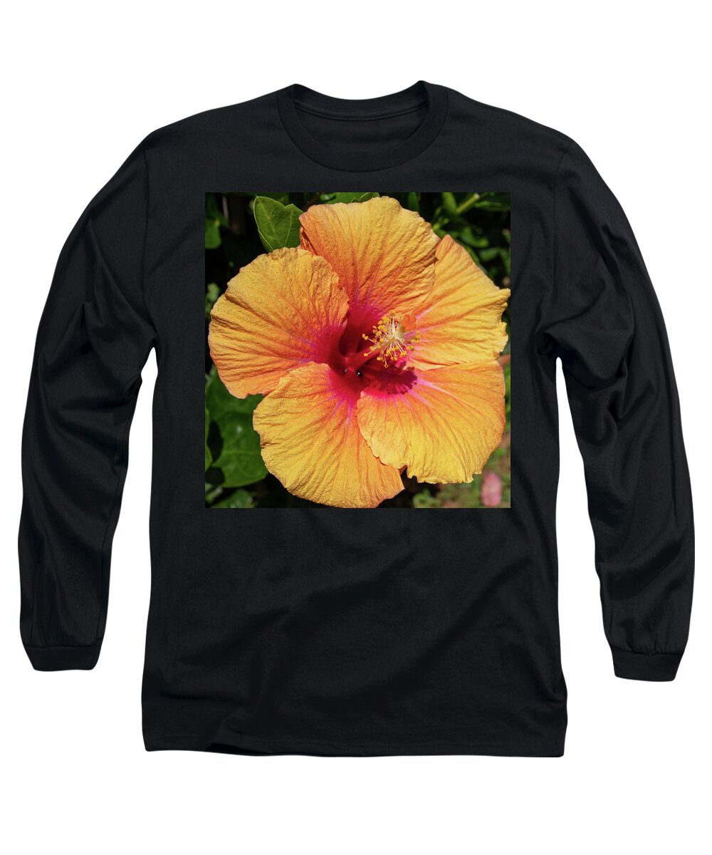 Hibiscus Long Sleeve T-Shirt featuring the photograph Sun Reflection by Tony Spencer
