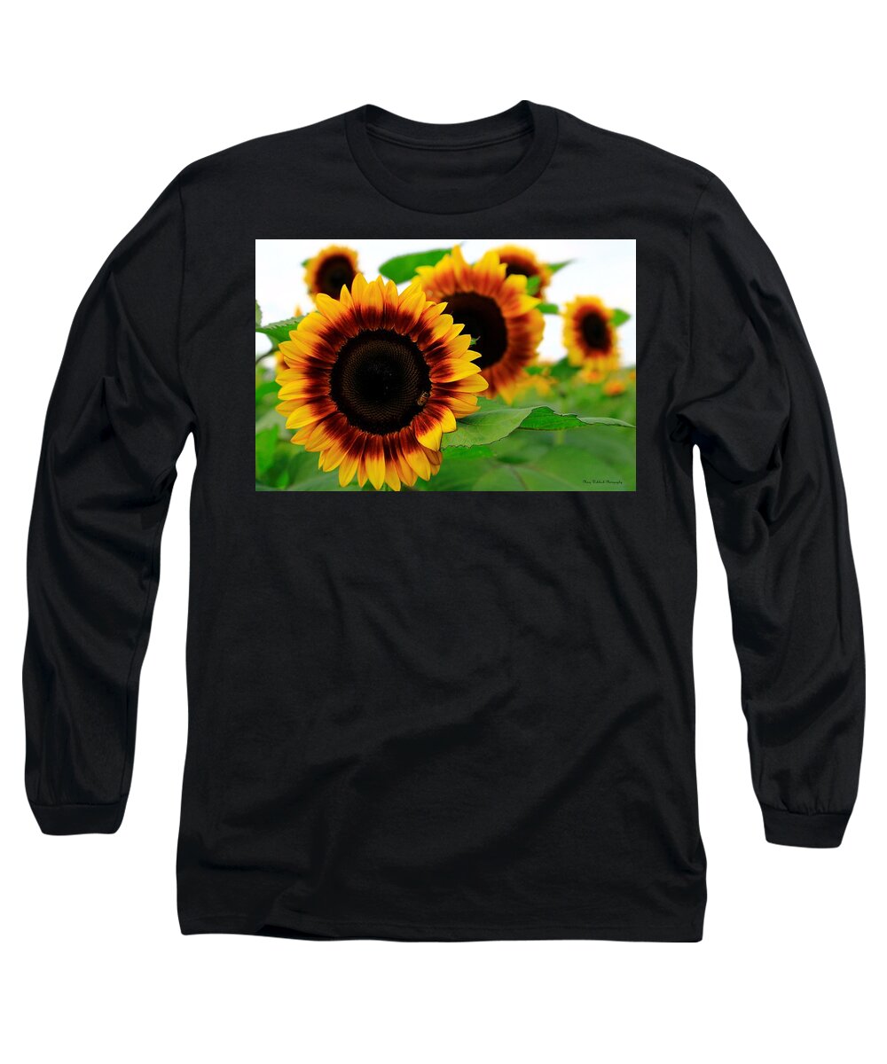 Sunflowers Long Sleeve T-Shirt featuring the photograph Sun Sational by Mary Walchuck