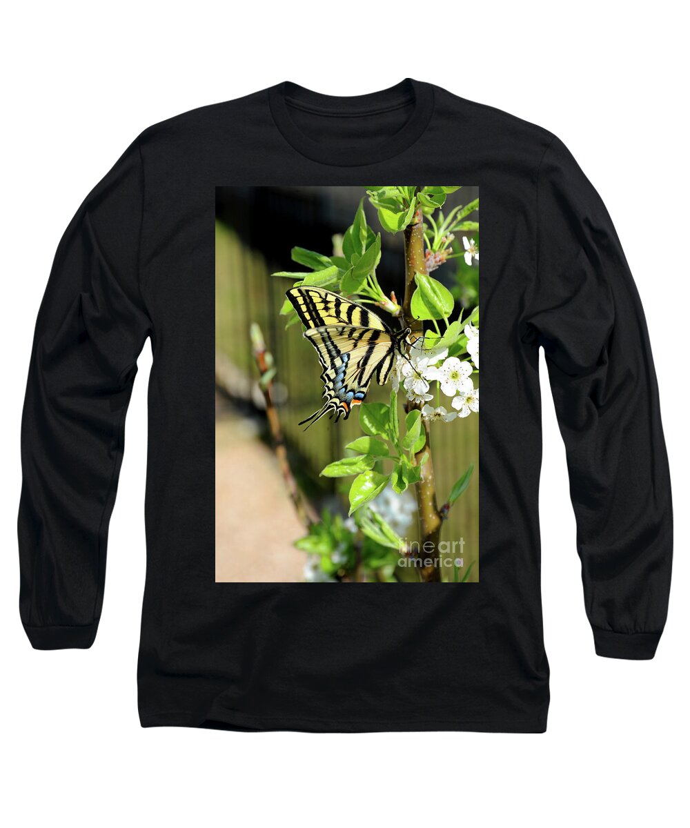 Animal Long Sleeve T-Shirt featuring the photograph Swallowtail Butterfly sits on a flowering branch by Gunther Allen