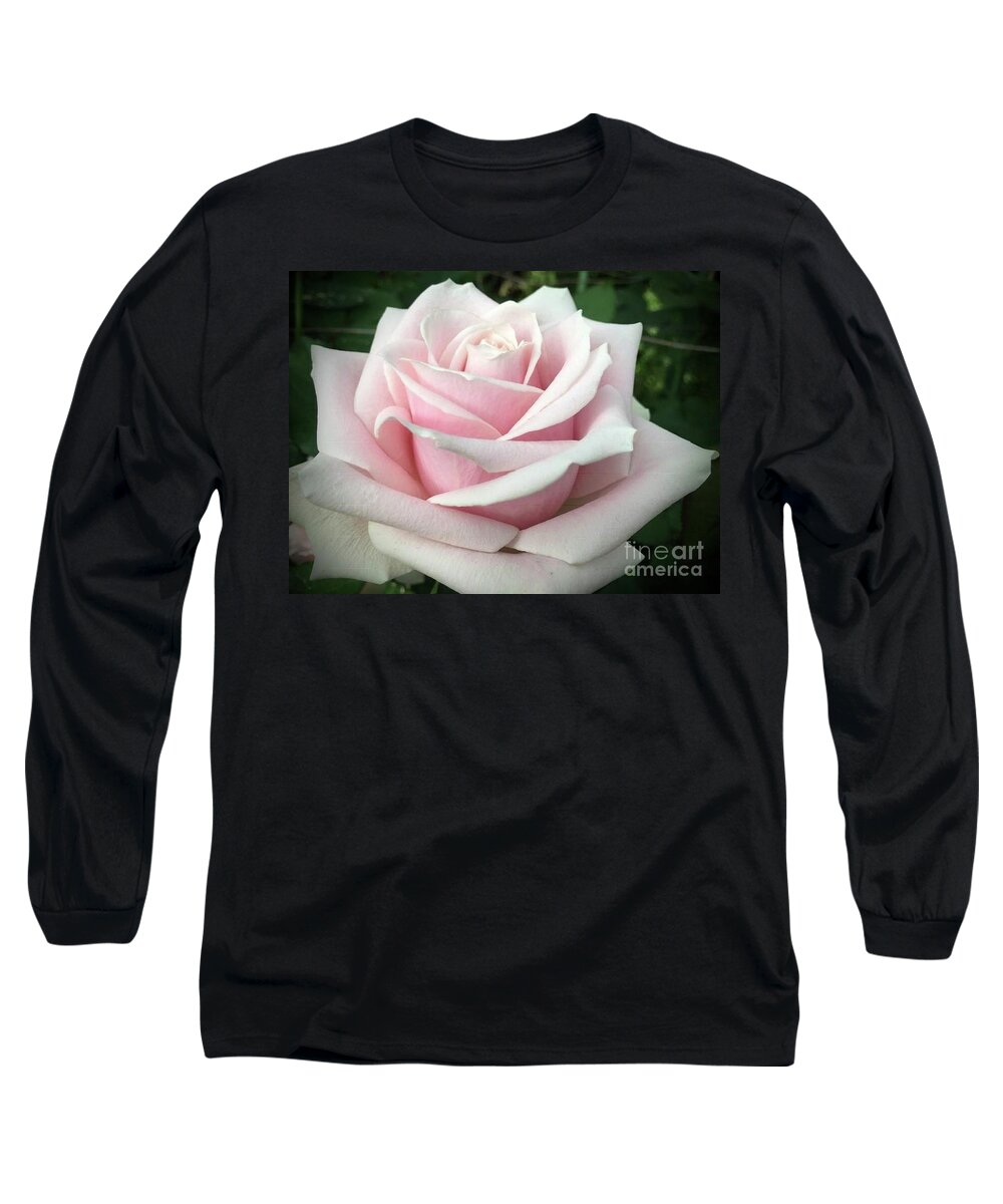 Art Long Sleeve T-Shirt featuring the photograph Tea Rose by Jeannie Rhode