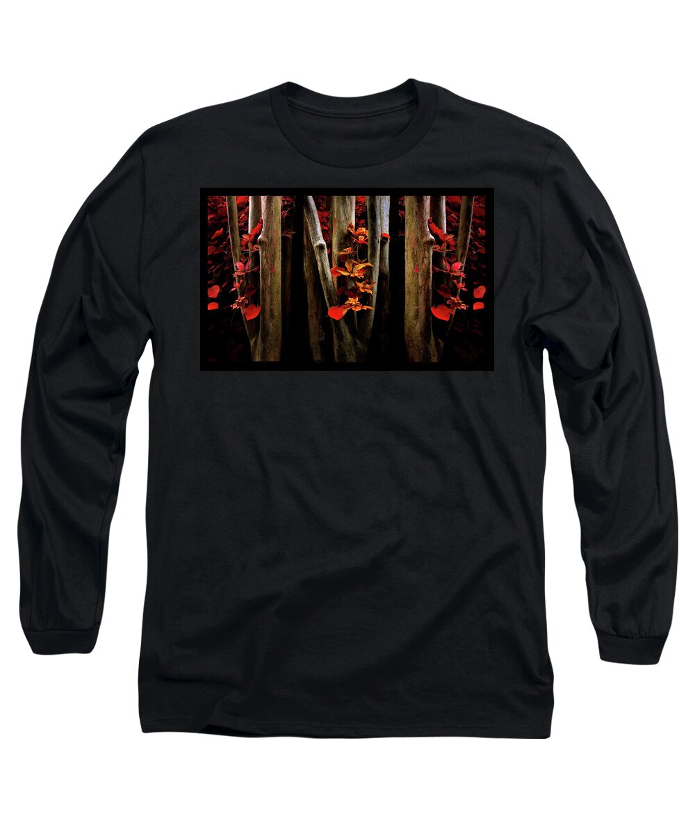 Autumn Long Sleeve T-Shirt featuring the photograph The Crimson Forest by Jessica Jenney