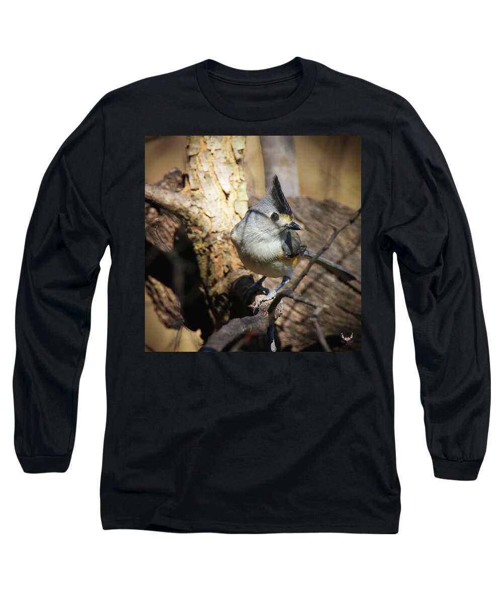 Titmouse Long Sleeve T-Shirt featuring the photograph Titmouse Giving the Eye by Pam Rendall